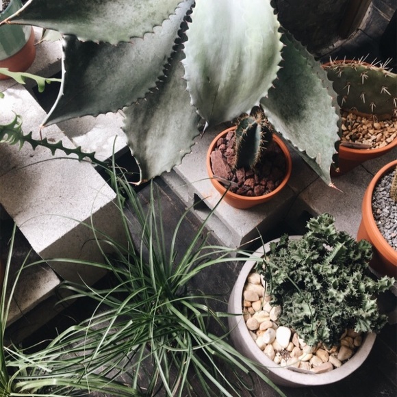 Meet your Posher, Victoria - Picture 4 of 8